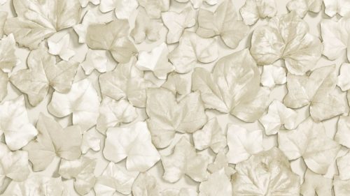 Ivy Leaf 310979